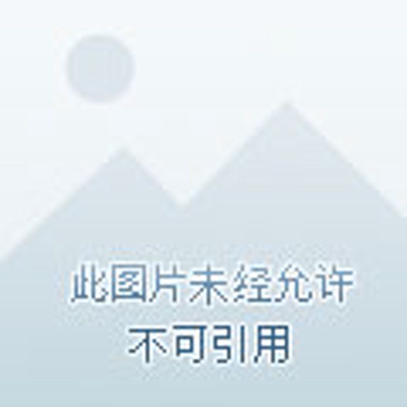 如何玩转海外社交媒体？品牌出海营销策略大揭秘